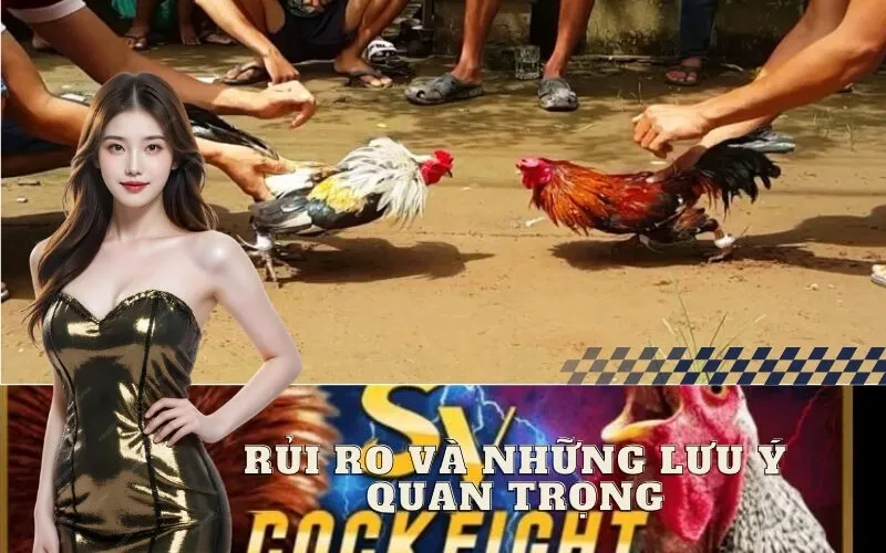 Rủi Ro và Những Lưu Ý Quan Trọng